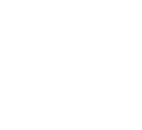 Logo White